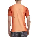 MUROS_531_4.webp