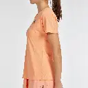491898-bea25ialbaricoque_p2-1.webp