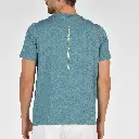 landeverdeazuladovigore_r-3_148.webp