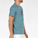 landeverdeazuladovigore_p2-3_148.webp
