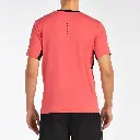 malmokhibisco_r-1.webp