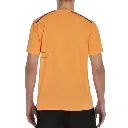 PAPAYA1.webp