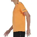 PAPAYA2.webp