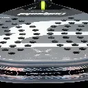 494401(2).webp