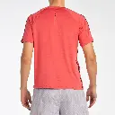 moechehibisco_r-1.webp